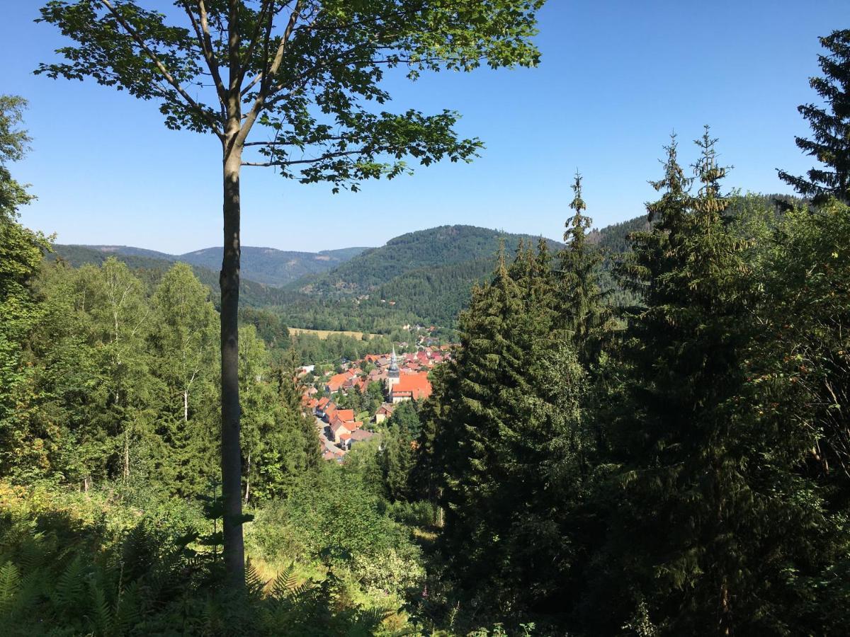 Ferienwohnung Hahnenklee Goslar Eksteriør billede